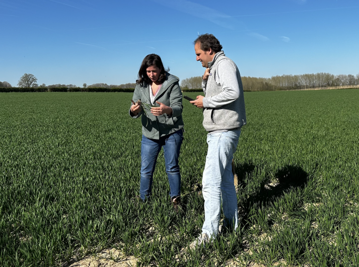 Elisabeth Van Rompu, agronome de Terres Vivantes, en plein tour de plaine avec le membre Jean d'Arschot